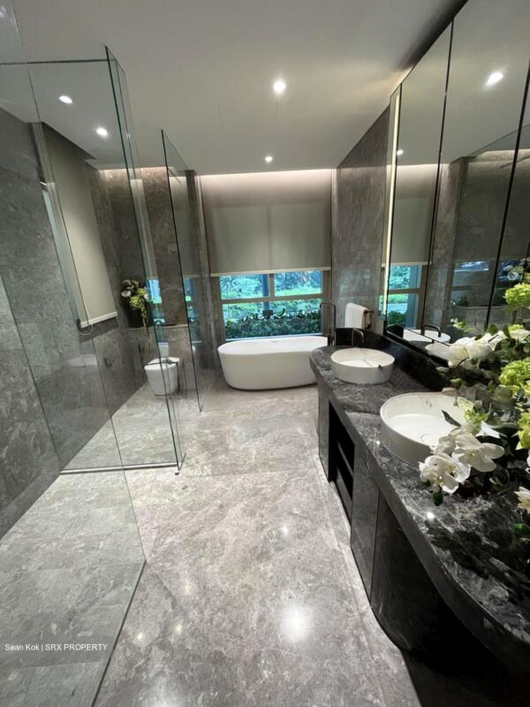 Hana (D10), Condominium #457982431